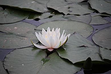 平台解谜游戏《克隆危机》 将于8月26日在Steam发售